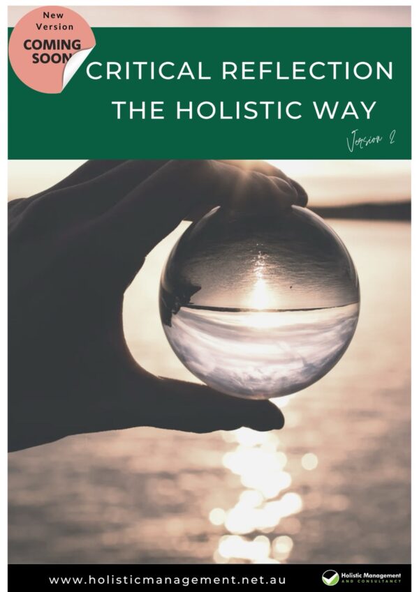 Holistic Critical Reflection