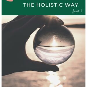 Holistic Critical Reflection