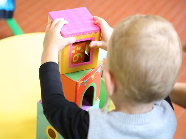 Holistic Management - nursery